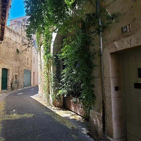 Wifi - Hypercenter - In The Heart Of Avignon! Apartment Exterior photo